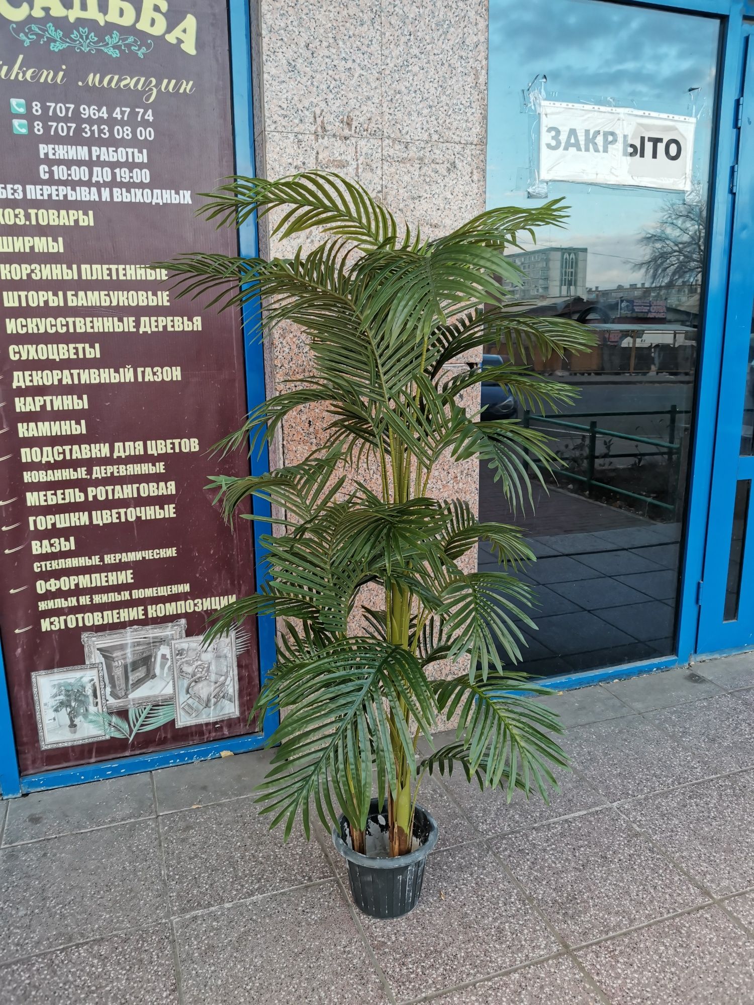 Пальмы искусственные высота до трёх метров.