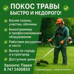 Покос травы , Вспашка  огородов, Спил  деревьев!