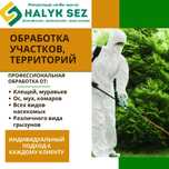Дезинфекция от клопов кандала тараканов муравьёв Дезинфекция Алмата