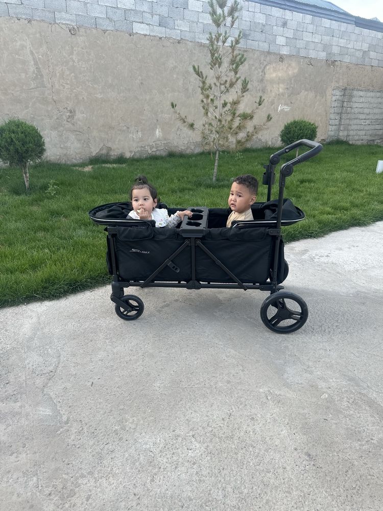 2 орынды коляска