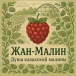 Свежая малина с плантации — экологично, вкусно, полезно!