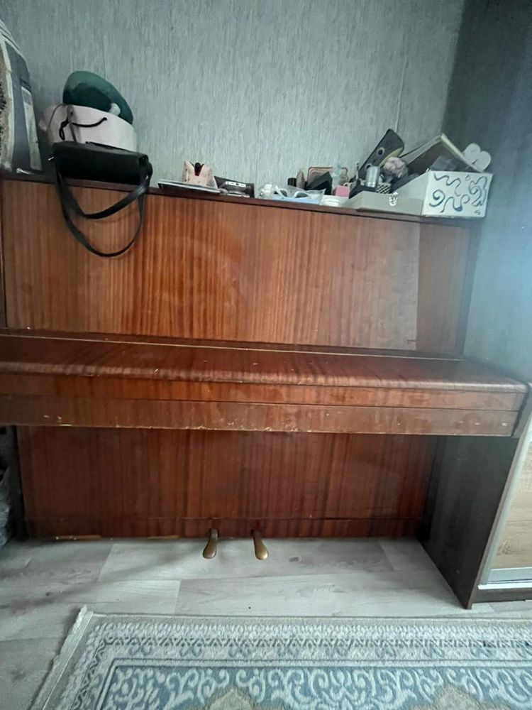 Фортепиано, Беларусь, издает все звуки