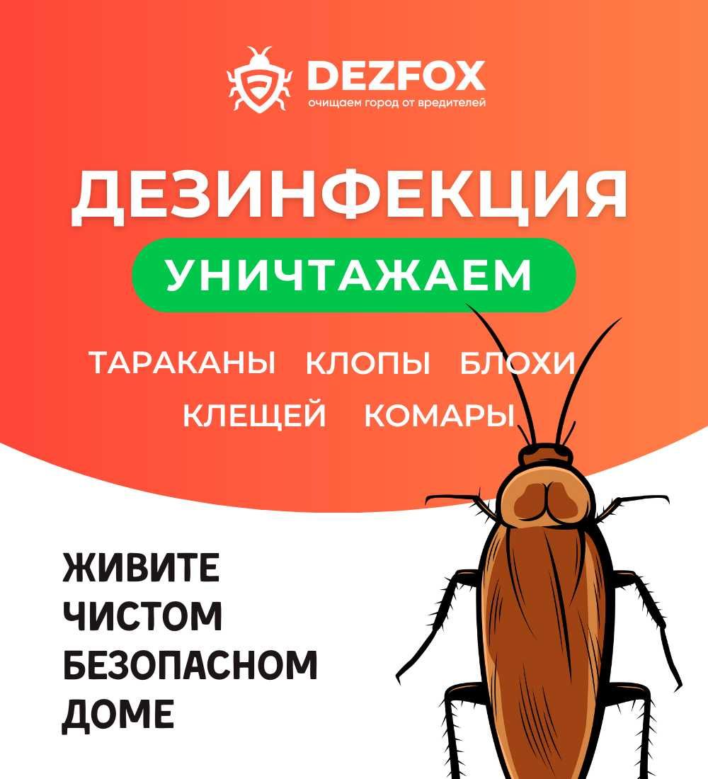 Дезинфекция Обработка От Насекомых Тараканов Алматы Санитарная Средств