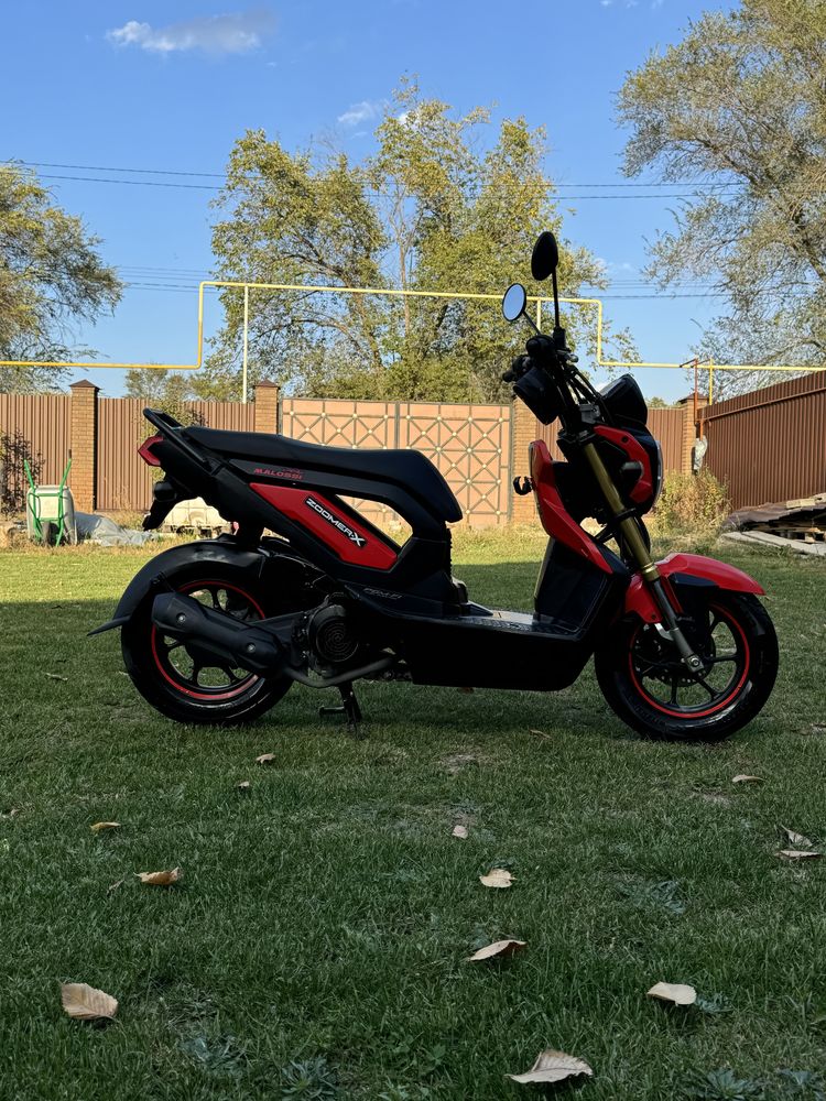 Скутер Honda zoomer X