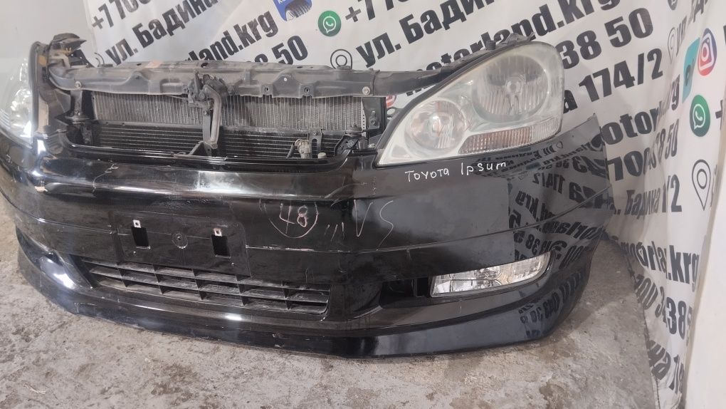 Ноускат Toyota Ipsum, Avensis verso