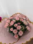 гүл. солмаған 25.05