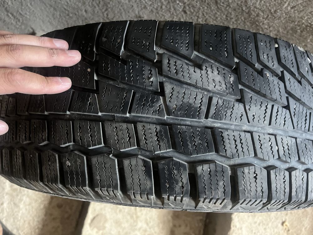 Зимние шины кордиант 205/55R16