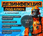Дезинфекция / тараканы / клопы / кандала / муравьй / насекомые