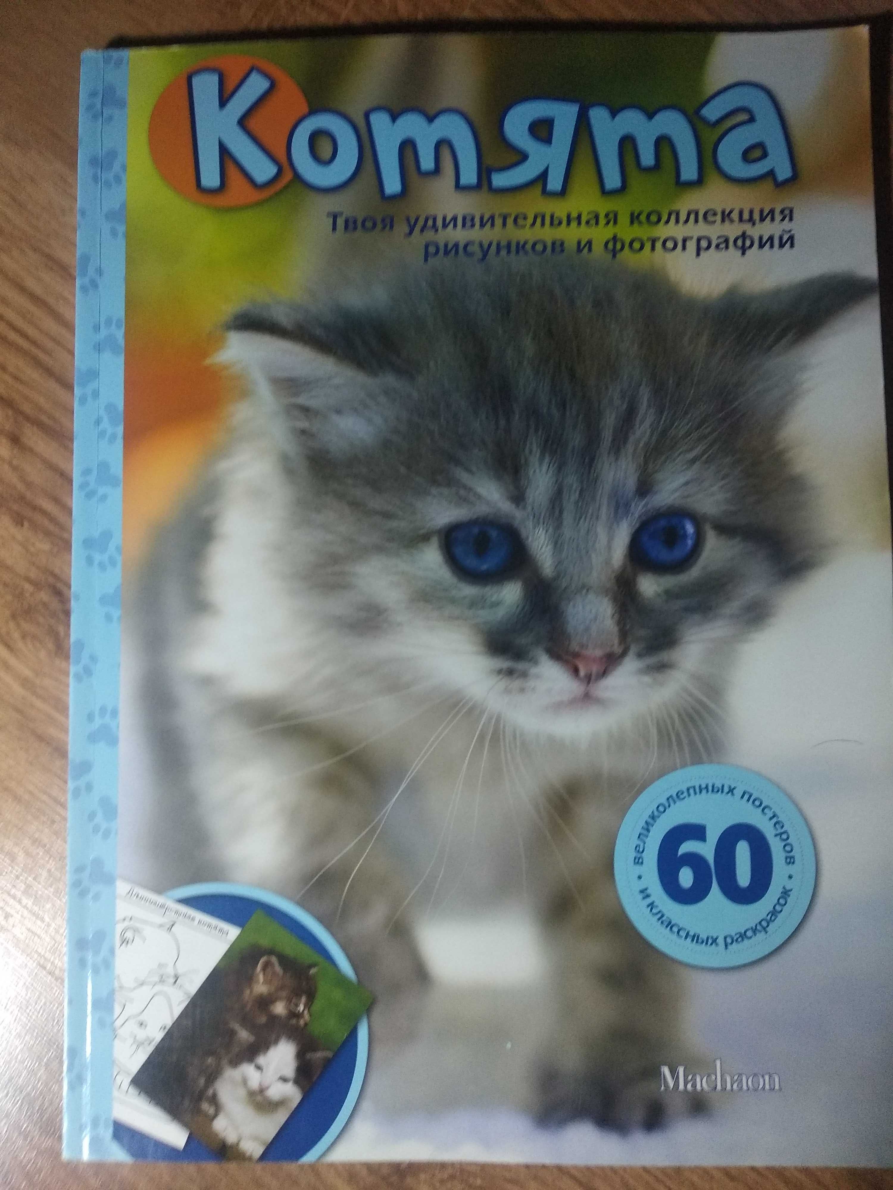 СРОЧНО  Книга раскраска постер 60 постеров и раскрасок 700тг