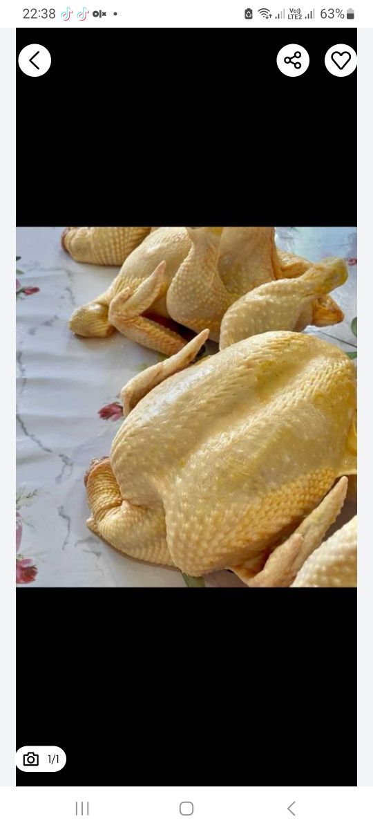 Мясо бройлер . . .