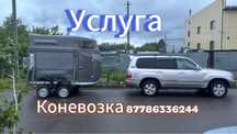 Услуга коневозки