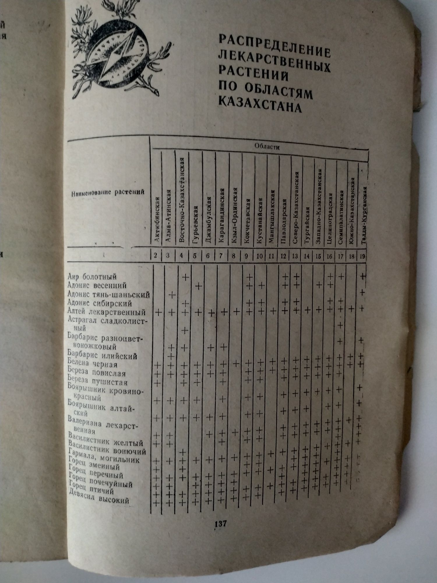 Целебные растения вокруг нас. Лекарственное растительное сырье. .