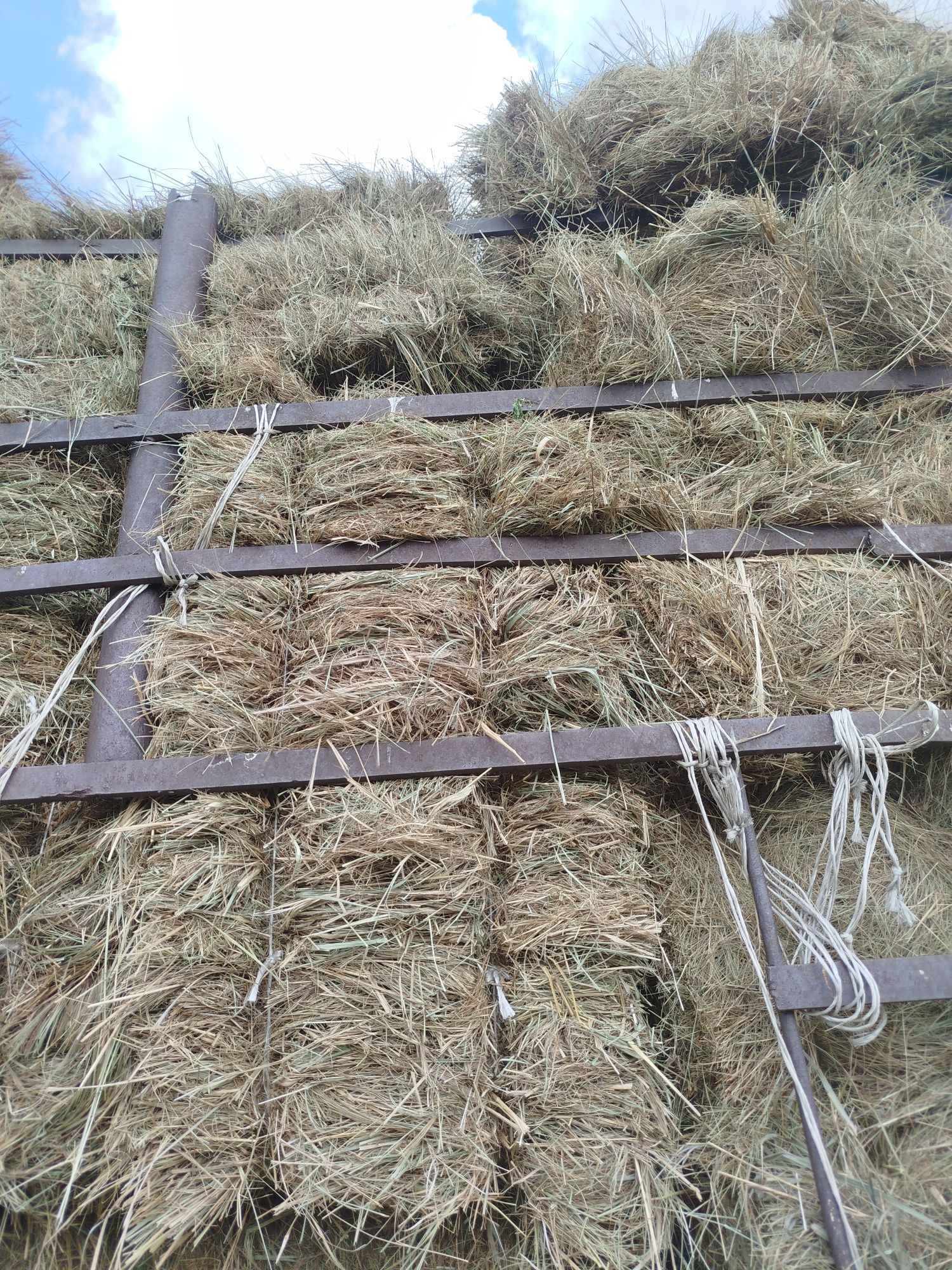 Продам сено в квадратных тюках