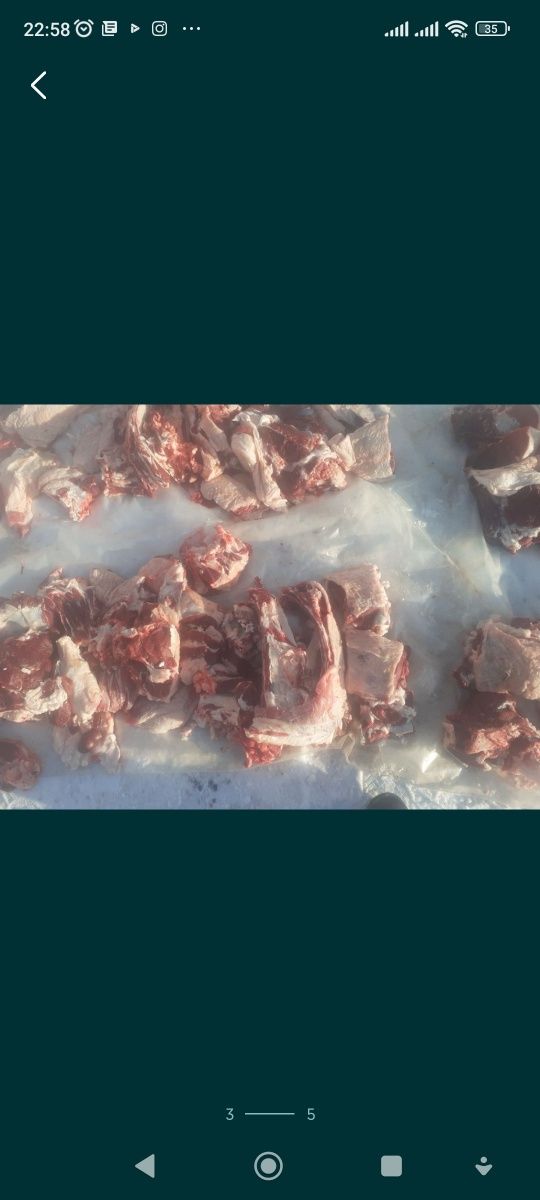 Продам говядину,телочки.