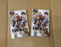 Haikyuu Vol. 33.5 (дополнительный томик манги "Волейбол")