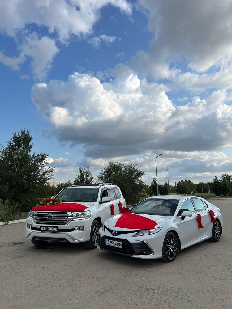 Картедж Кортеж Роддом Трансфер Выписка Аренда Авто Прадо Крузак 200