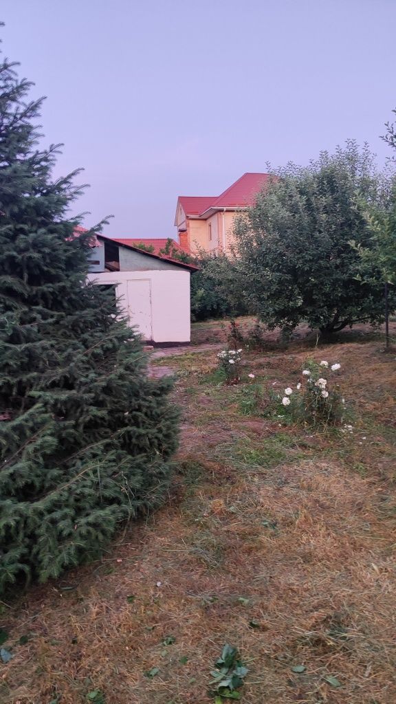 Уборка территорий,покос травы,вывоз мусора.Очистка территории.
