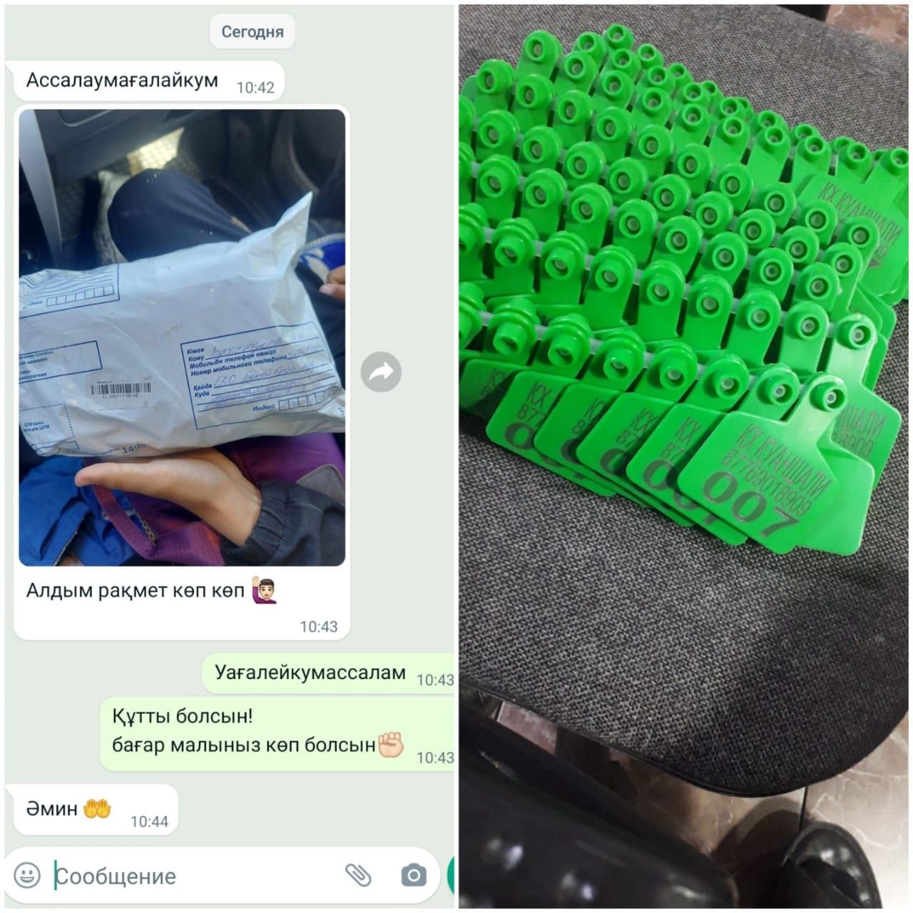 Жылқы, Бие, Ушные бирка, Малға Сырға, қой, Сйыр, Кой, Бұқа,Қошқар,