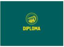 Университет международного бизнеса диплом diploma корочка умб uib уиб