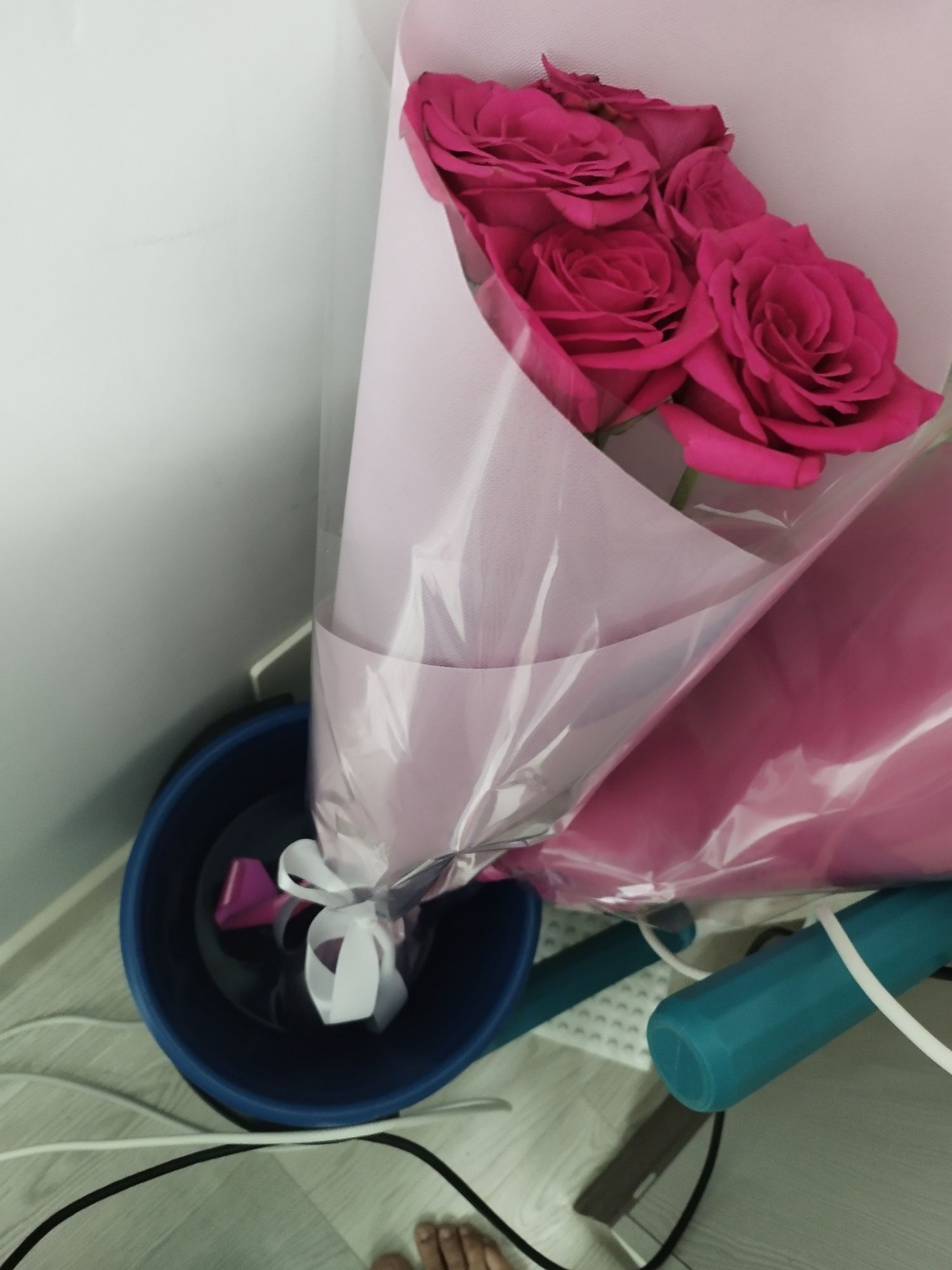 Роза розовый и белый