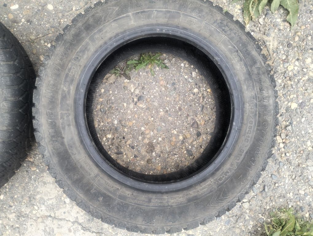 Зимняя резина Tunga Nordway 2 195/65R15 91Q