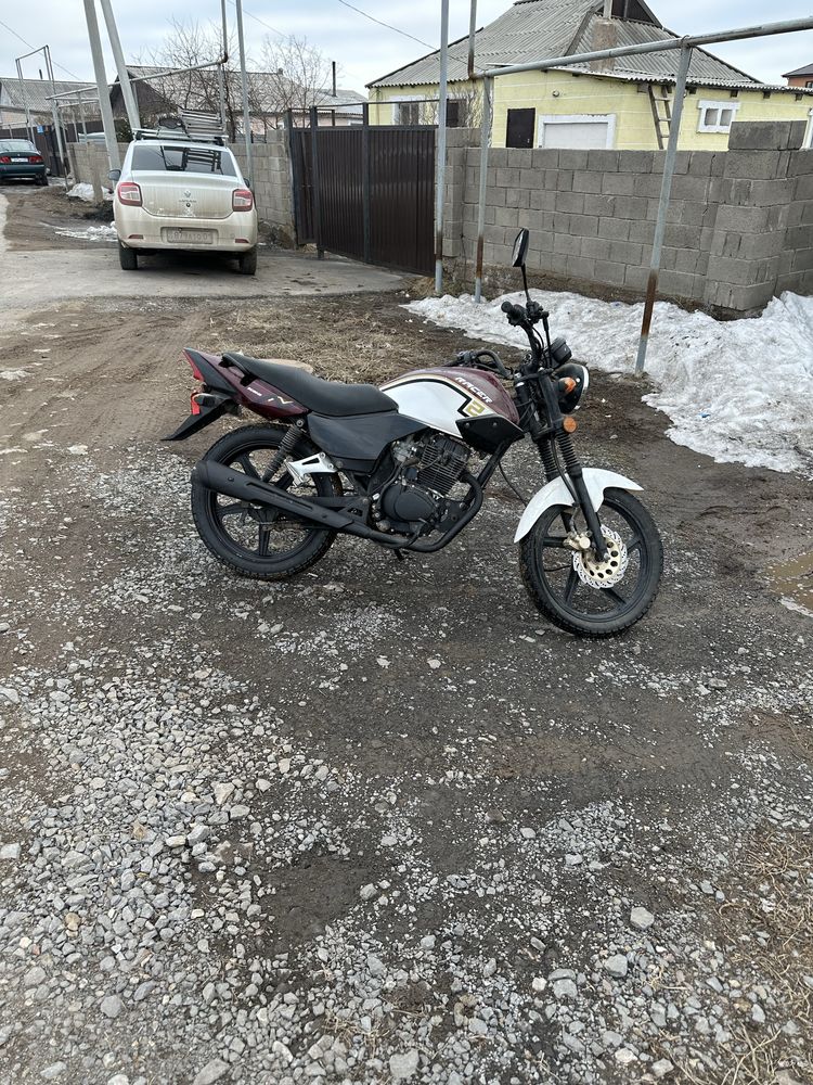Racer taigr срочно
