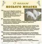 ПРОДАМ козье молоко.