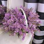 Цветы Сирень из корзины