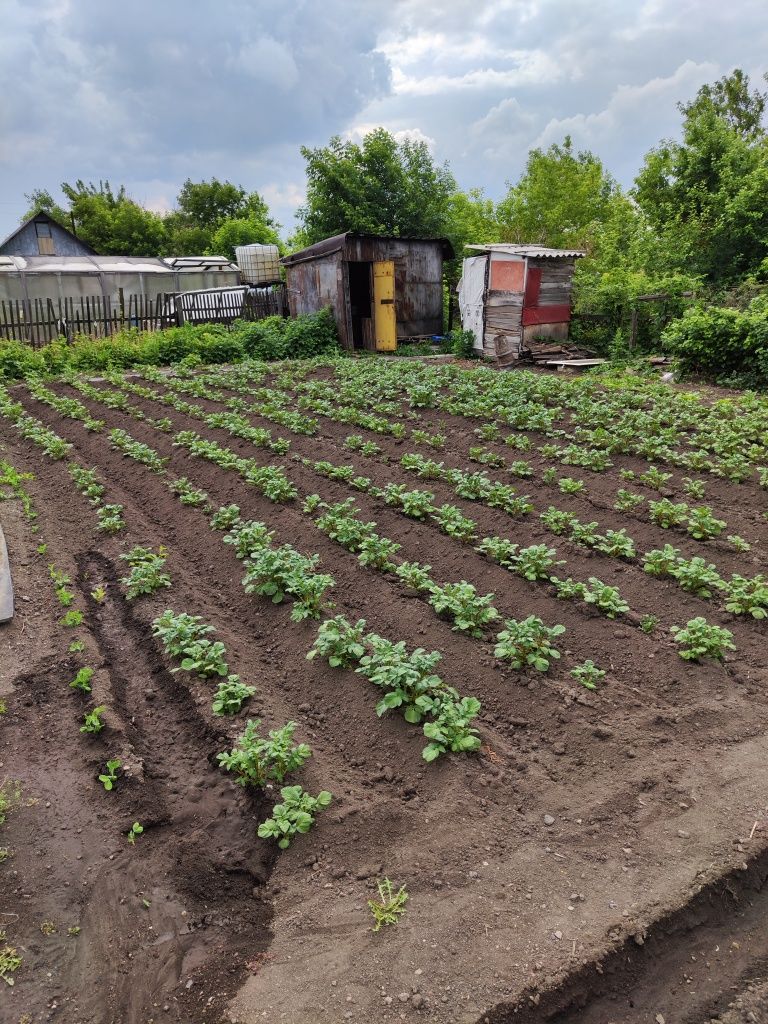 Продам дачу на дачную общество АЛМА