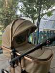 Детская коляска Aimile 2 в 1