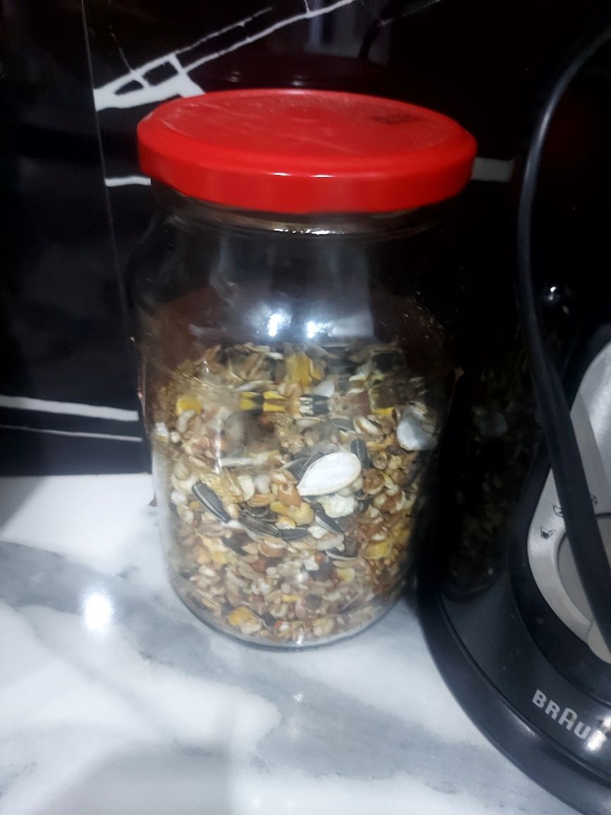 Хомяки с клеткой