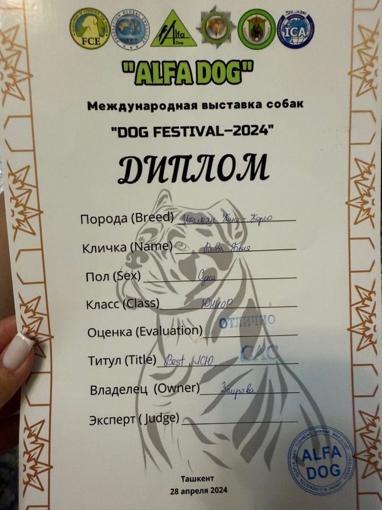 Продаем нашего мальчика.