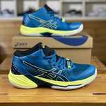 Кроссовки Asics Sky Elite FF 2