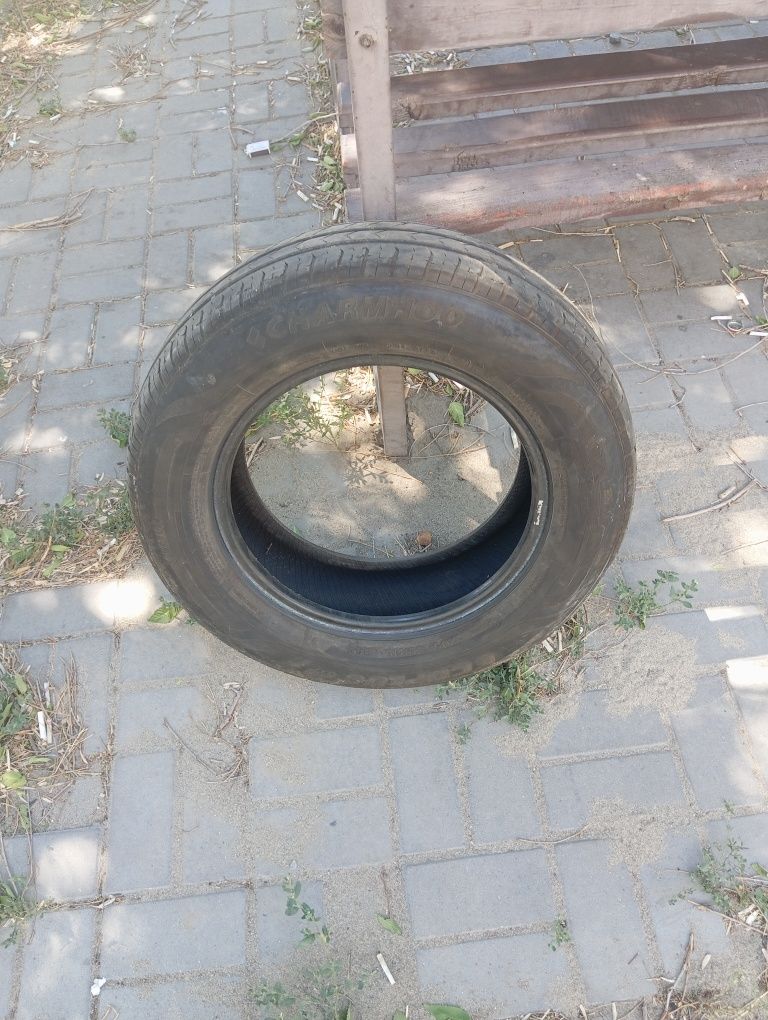 Шина 1 штук донгелек