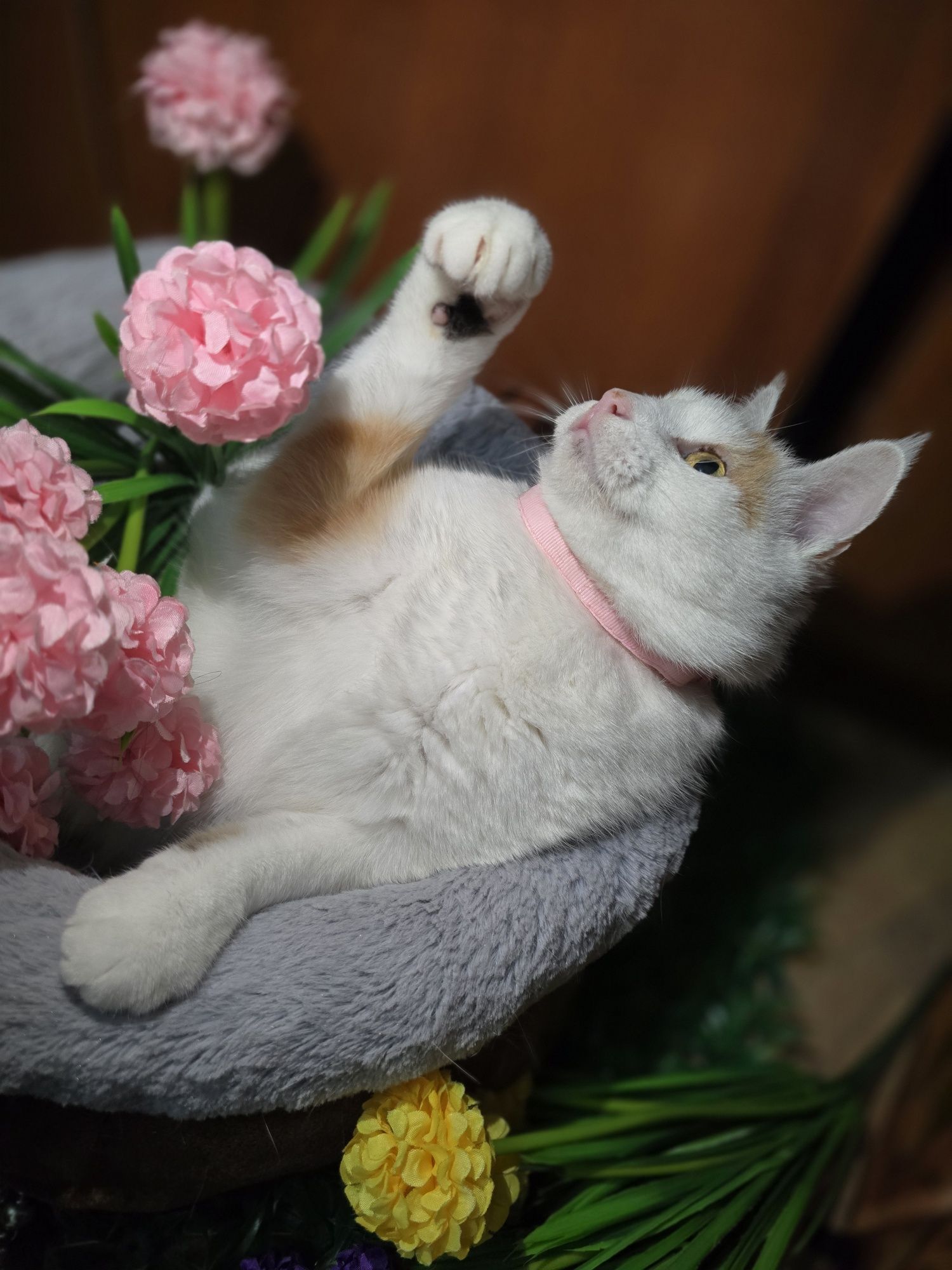 Снежана в ответственные руки
