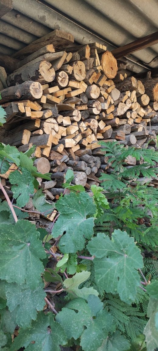 Продам дрова, мешок 1100 тг