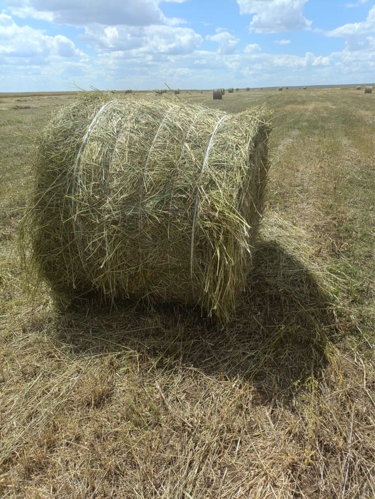 Сено с доставкой