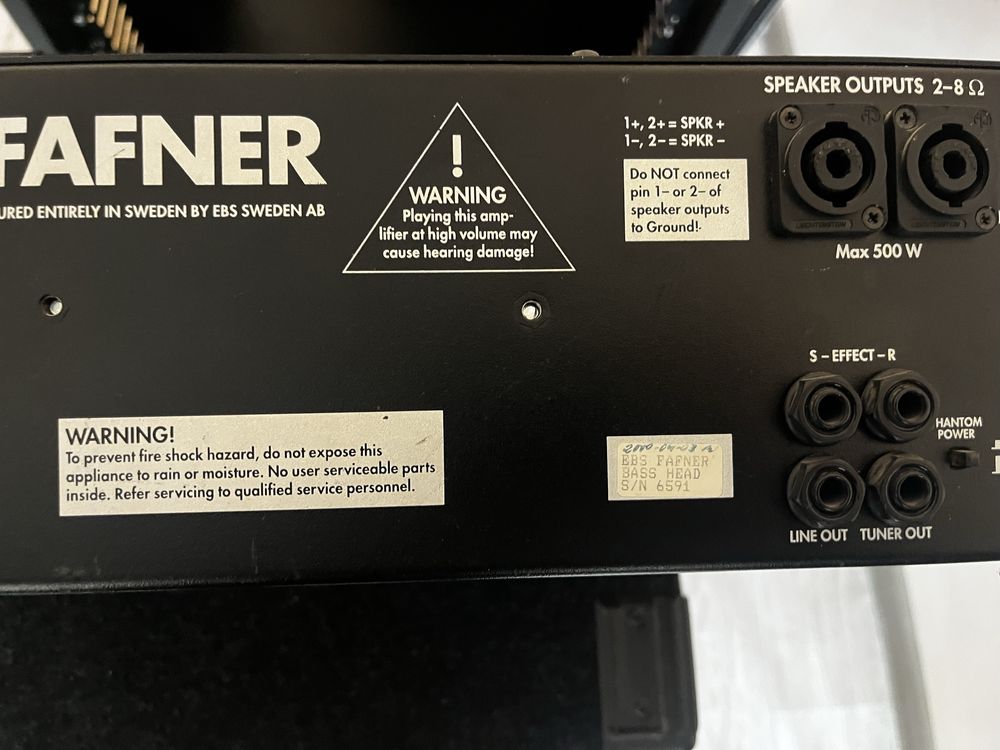 EBS Fafner bass head and cab