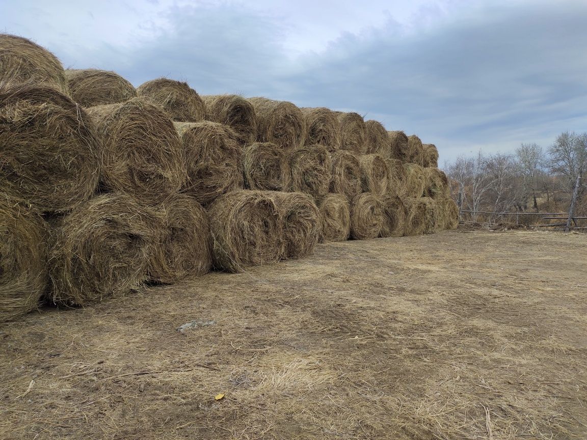 Продам сено рулонах