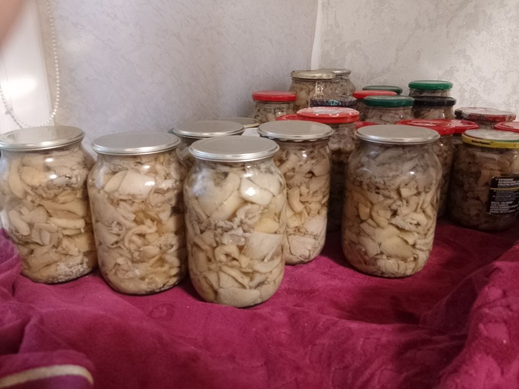 Маринованные грибы