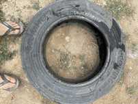 205.65 r16.  Летни шина