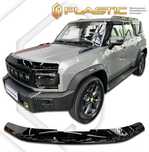 Мухобойка Jetour Dashing, Traveller T1/T2, X70 Plus, X90 Plus