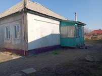 Село Толе би, улица Толе би 304