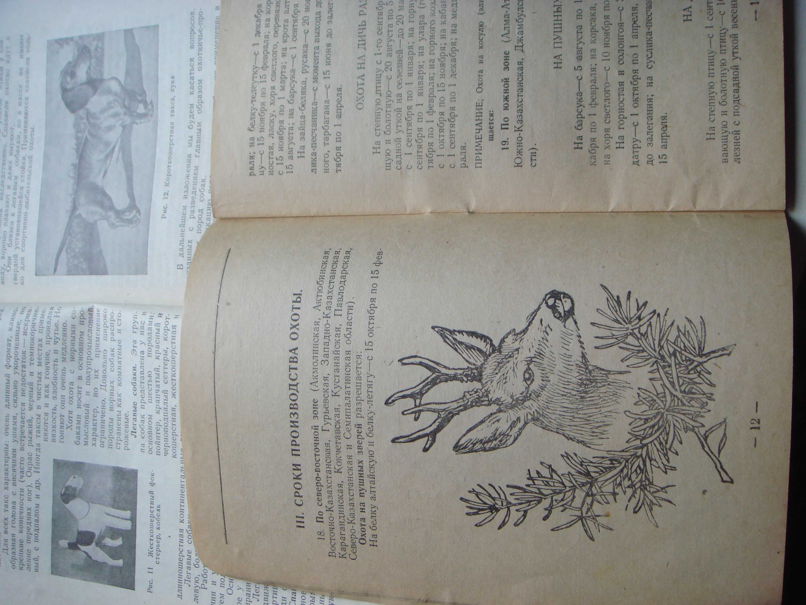 Редкие Книги Каз ССР по охоте и разведению собак 1951 года