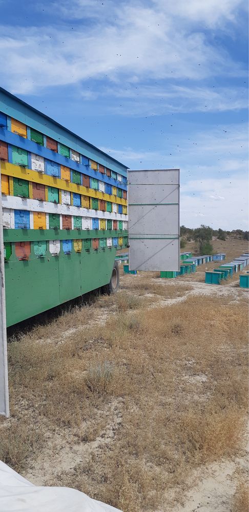 Пчело пакеты