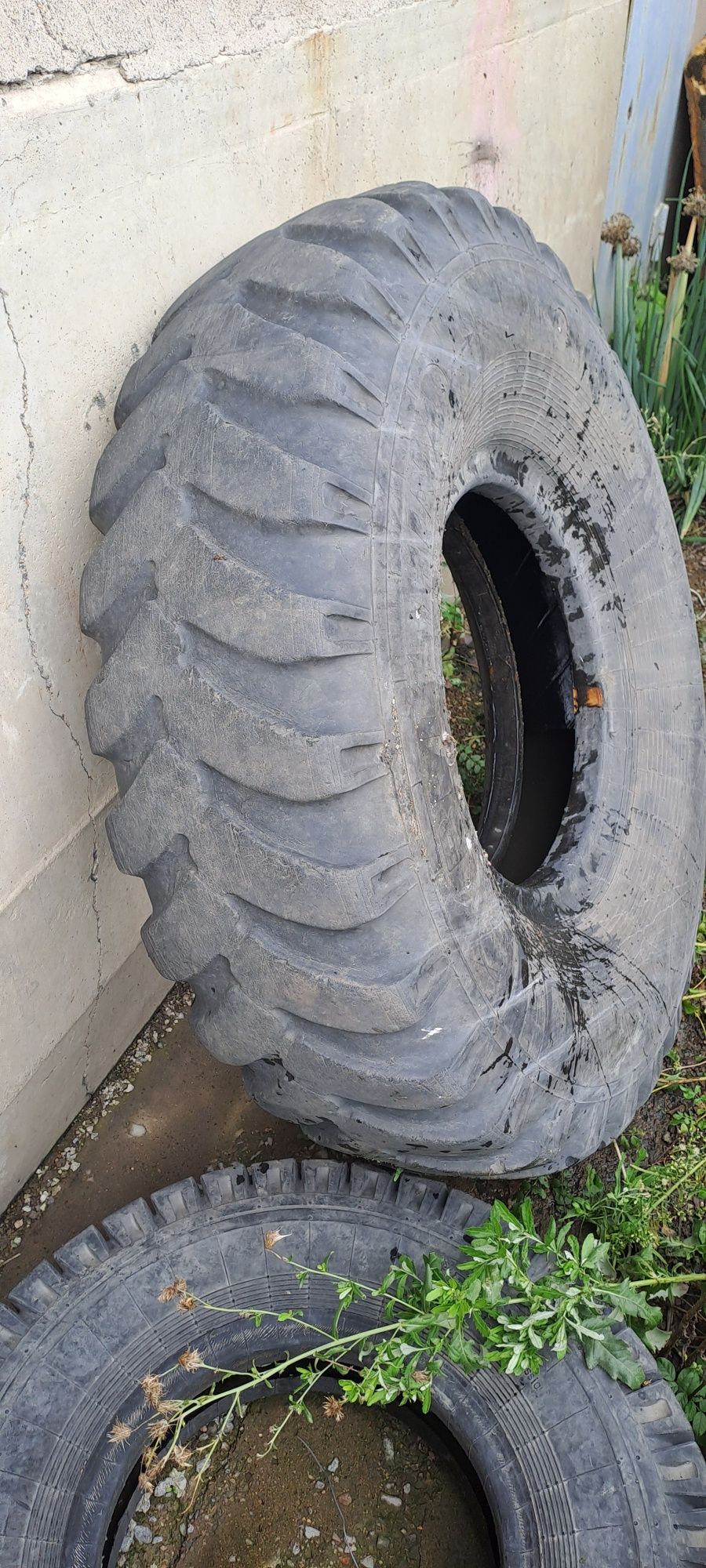 Продам шины Belchina 370-508