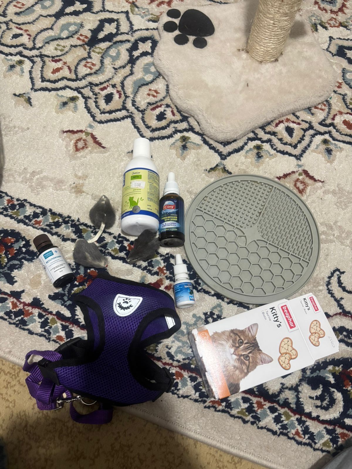 Всё для котят Домик Сумка итд