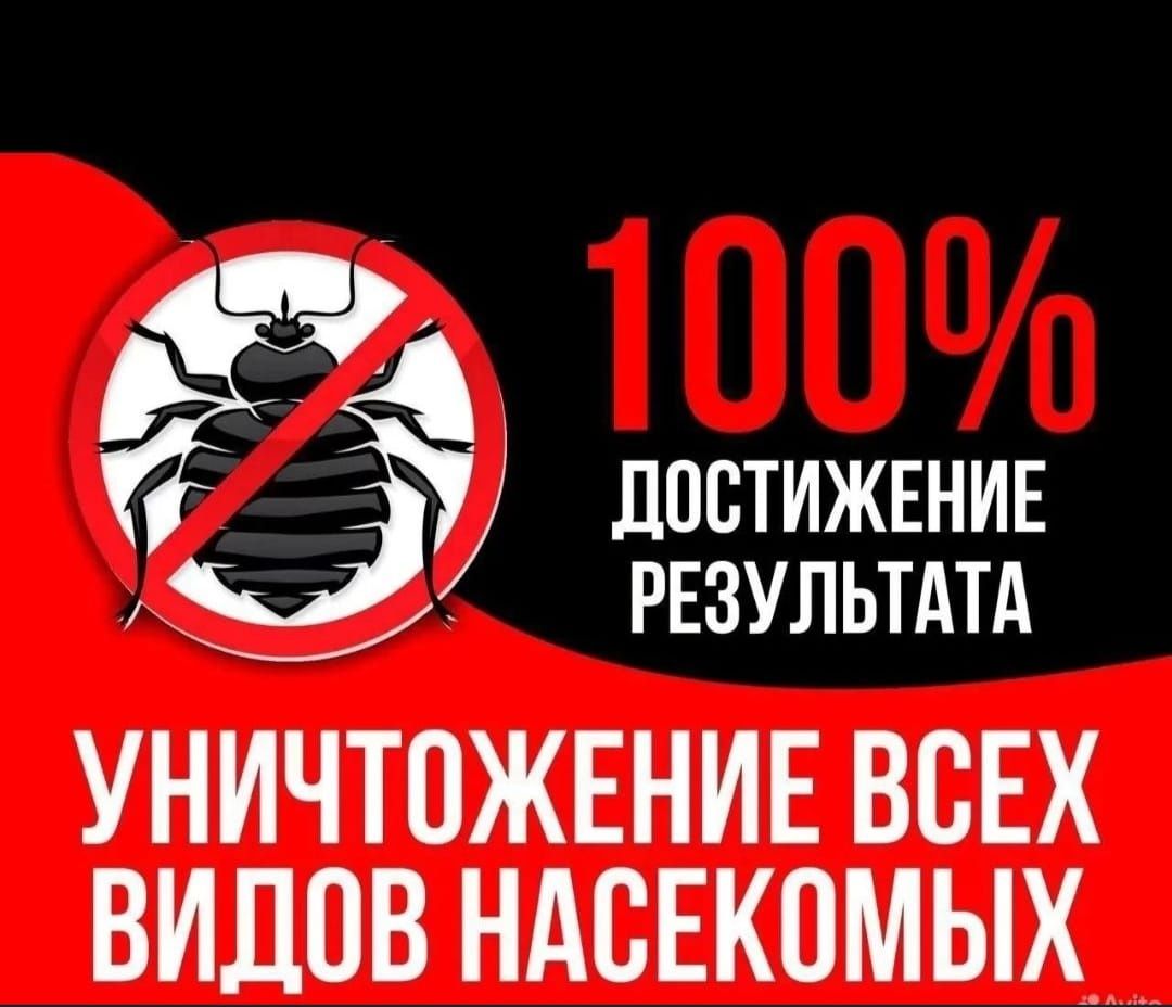 Дезинфекция от клопов