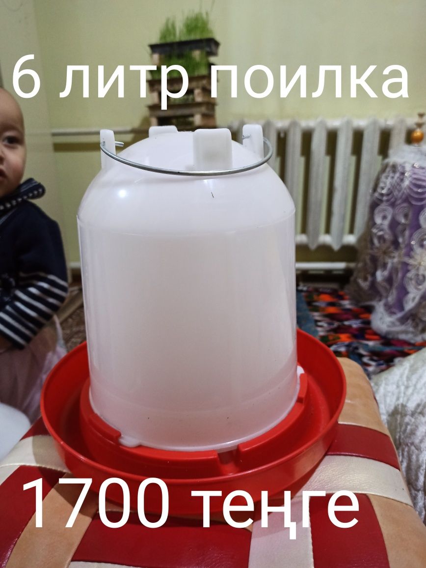 Кармушка и поилка