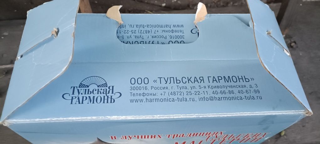 Гармошка малютка редкая
